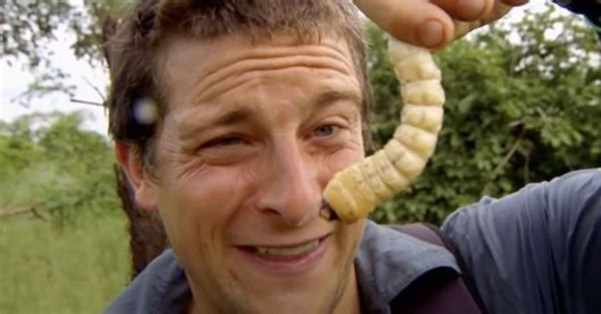 Who Is Bear Grylls Uncovering the Real Name Behind the Survival