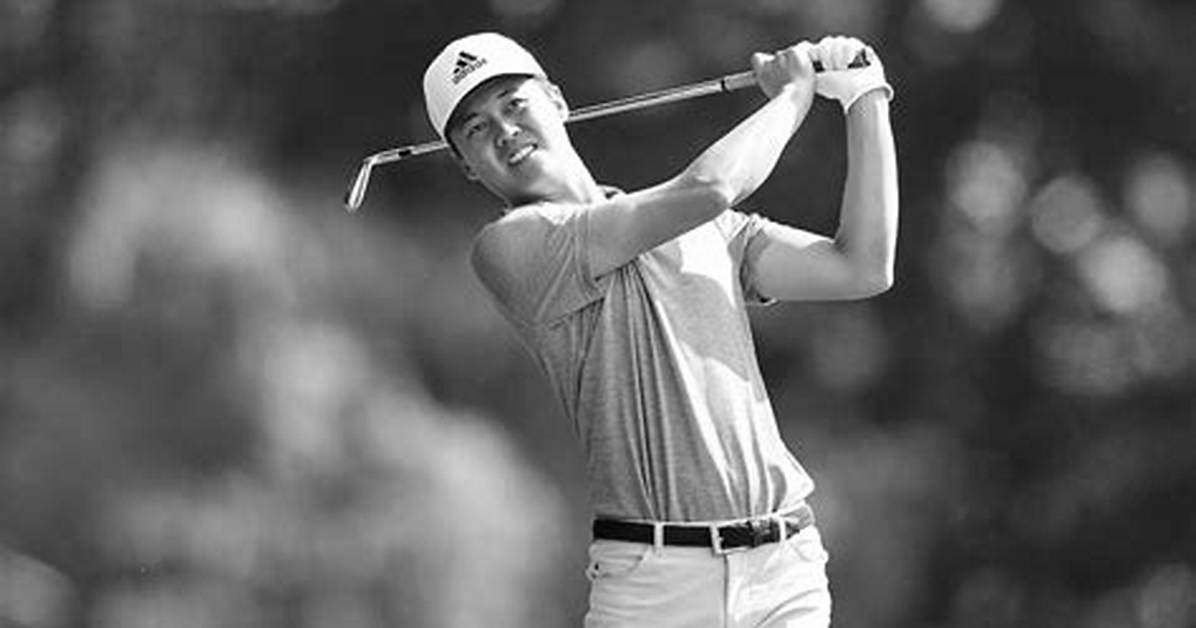 Who Is Brandon Wu Details to Know About The