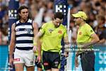 Who Is Brendan Hosking Afl Umpire? 5 Facts on Grand Final Debutant