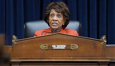 Who Is Brian Gaherty? Man from Texas Sent Threatening Messages to Maxine Waters, Other Congresswomen of Color
