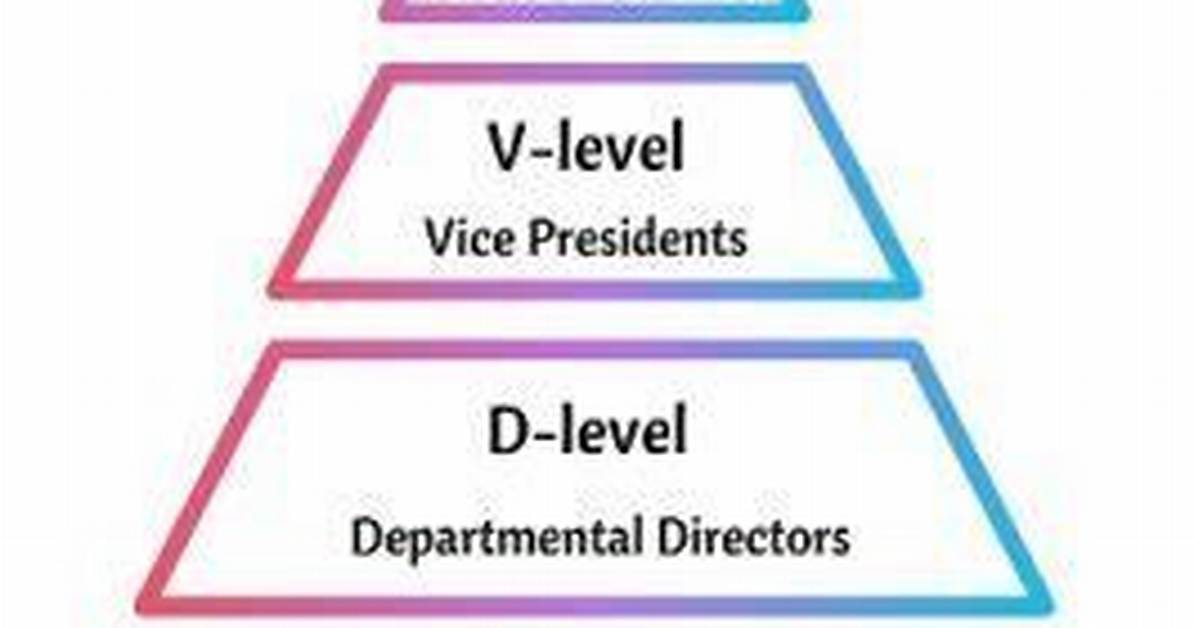 Who Is C Level Executive?