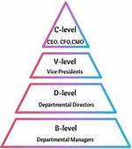 Who Is C Level Executive?