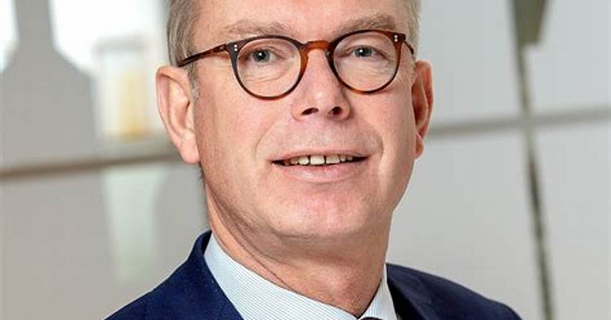 Who Is Frans Van Drimmelen Partner D66 Metoo News And