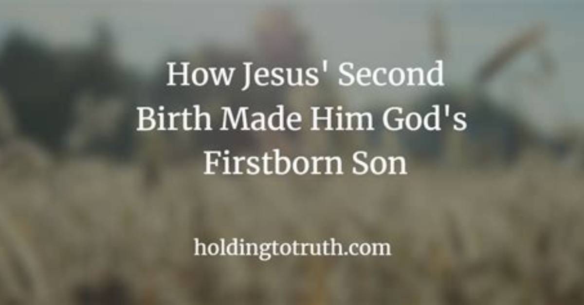 Who Is God's First-Born?