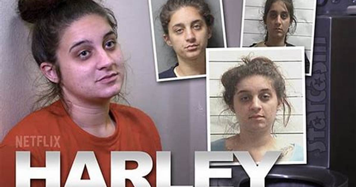 Who Is Harley Himber and Where Is She Now Update Today Everything To