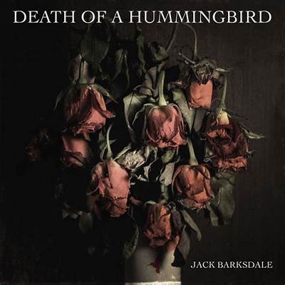 Who Is Jack Barksdale? Everything on Death of a Hummingbird Album Singer