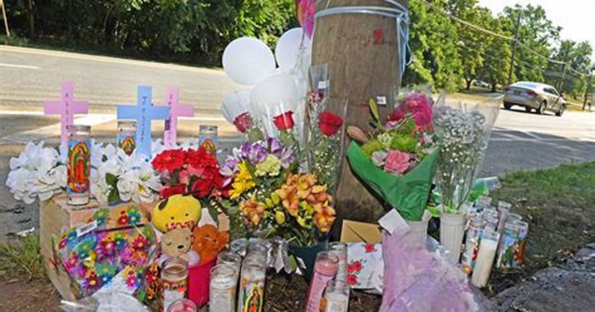 Who Is Jesie Gil? Death from Staten Island Car Accident