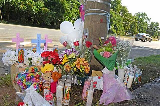 Who Is Jesie Gil? Death from Staten Island Car Accident
