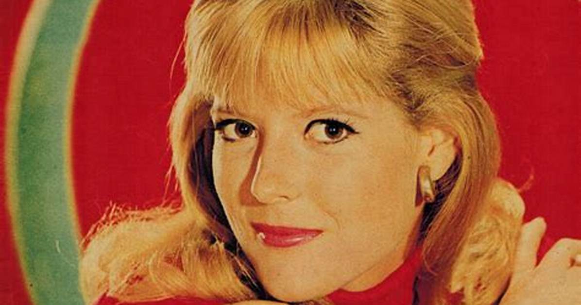 Who Is Macrae Meredith and Why Should You Know About Him?