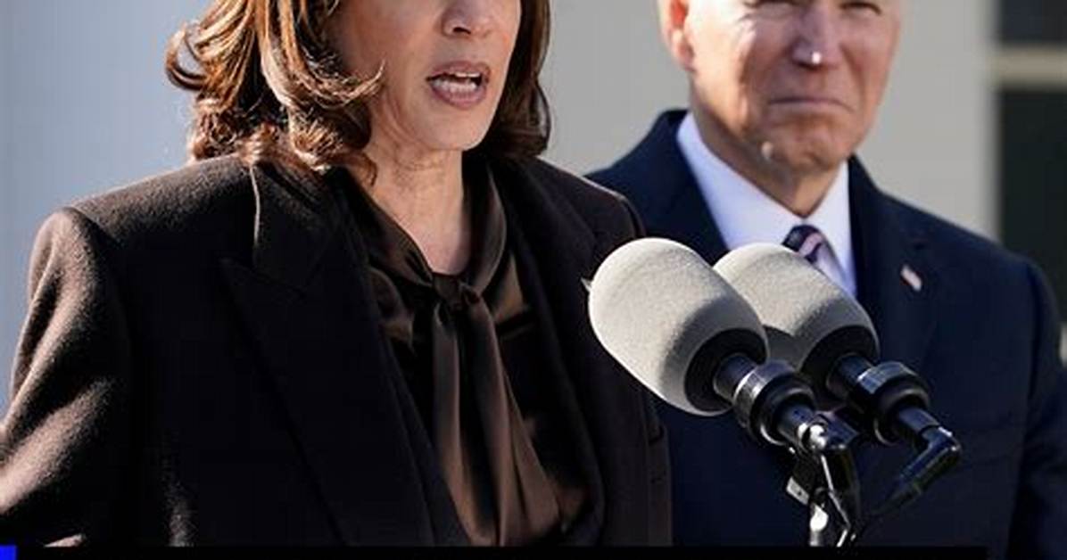Who Is Michael Fuchs? Kamala Harris Deputy Chief of Staff Wikipedia & Salary, Why Is He Resigning?