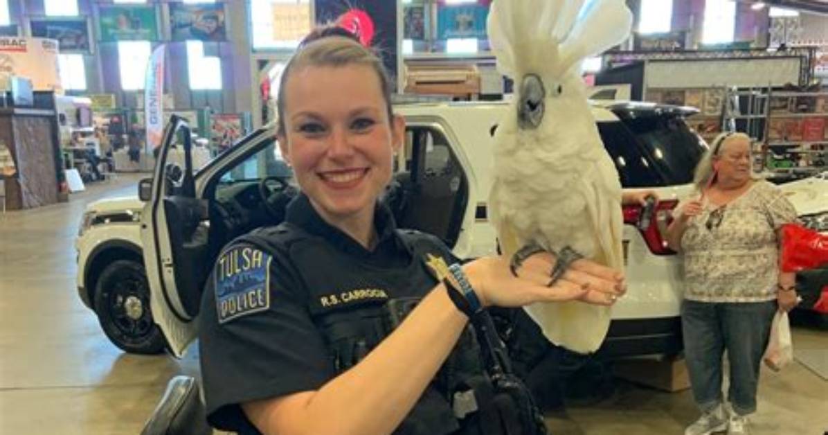 Who Is Ronni Carrocia Tulsa Police