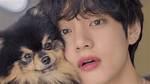 Who Is Tannie Bts?