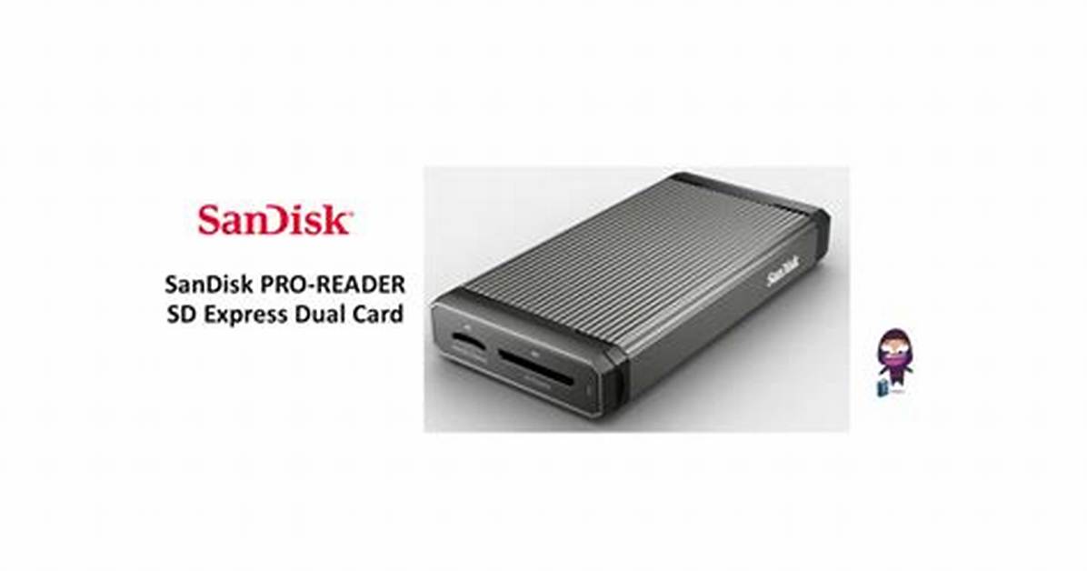 Who Is the Owner of Sandisk?