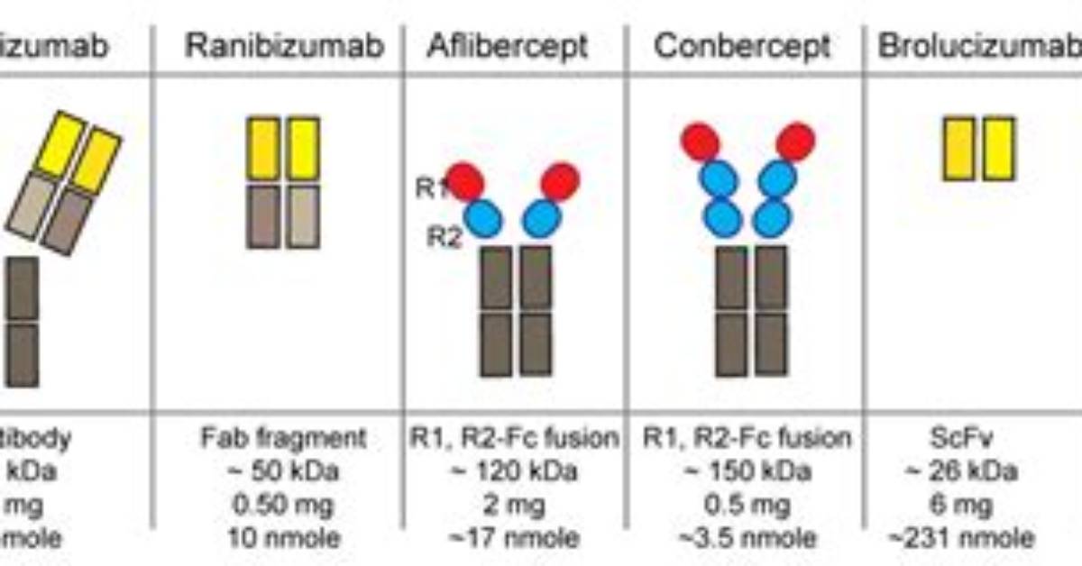 Who Makes Avastin Drugs?