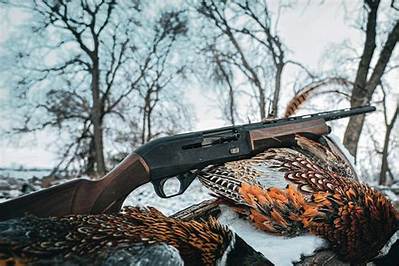 Who Makes Cz Shotgun?
