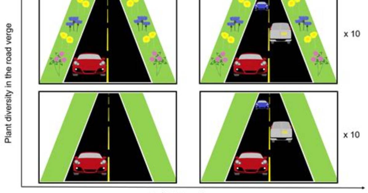 Who Owns Road Verges?