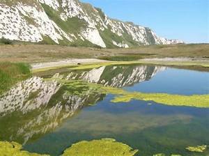Who Owns Samphire Hoe?