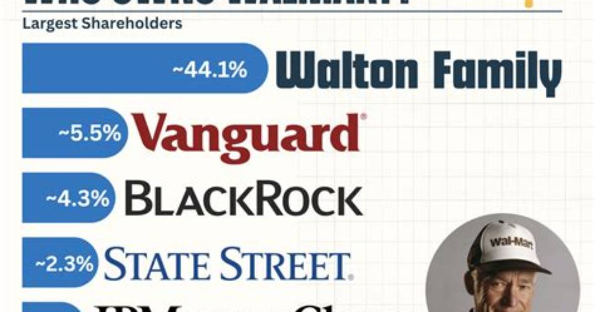 Who Owns Walmart Japan?