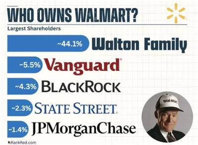 Who Owns Walmart Japan?