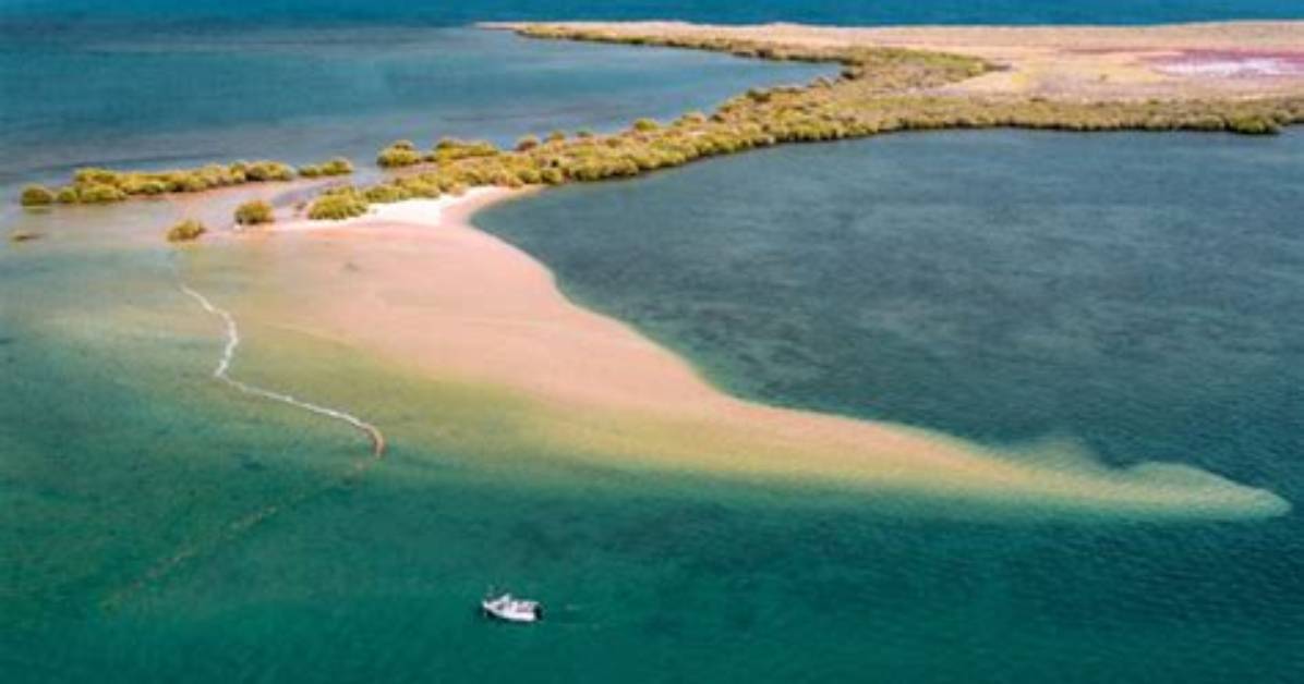Who Owns Wilderness Island Australia?