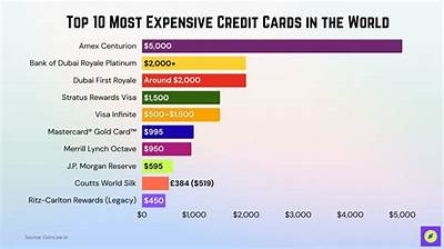 Who Spends the Most on Credit Cards?
