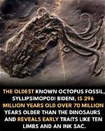 Who Threw the First Octopus on the Ice?