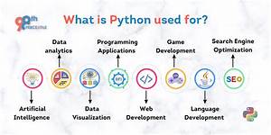 Who Uses Python Today?