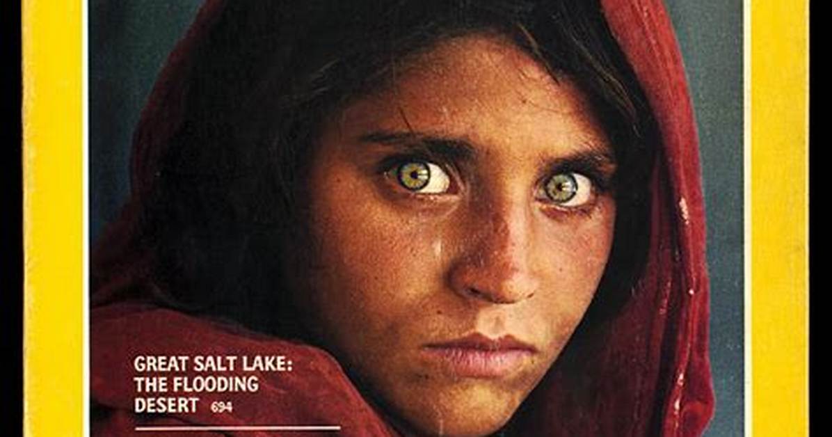 Who Wants Old National Geographic Magazines