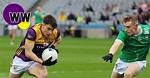 Who Won Between Wexford and Limerick Today?