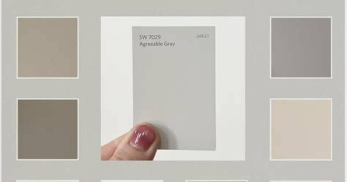 Why Agreeable Gray Goes with Everything?