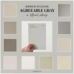 Why Agreeable Gray Goes with Everything?