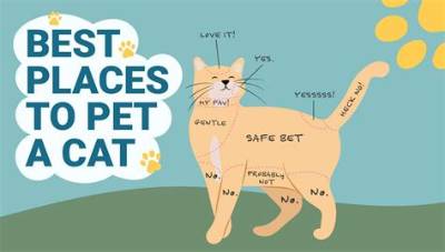 Why Are Cats Not Spelt as Kat?