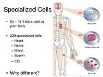 Why Are Cells Specialized - Lisbd-Net. Com