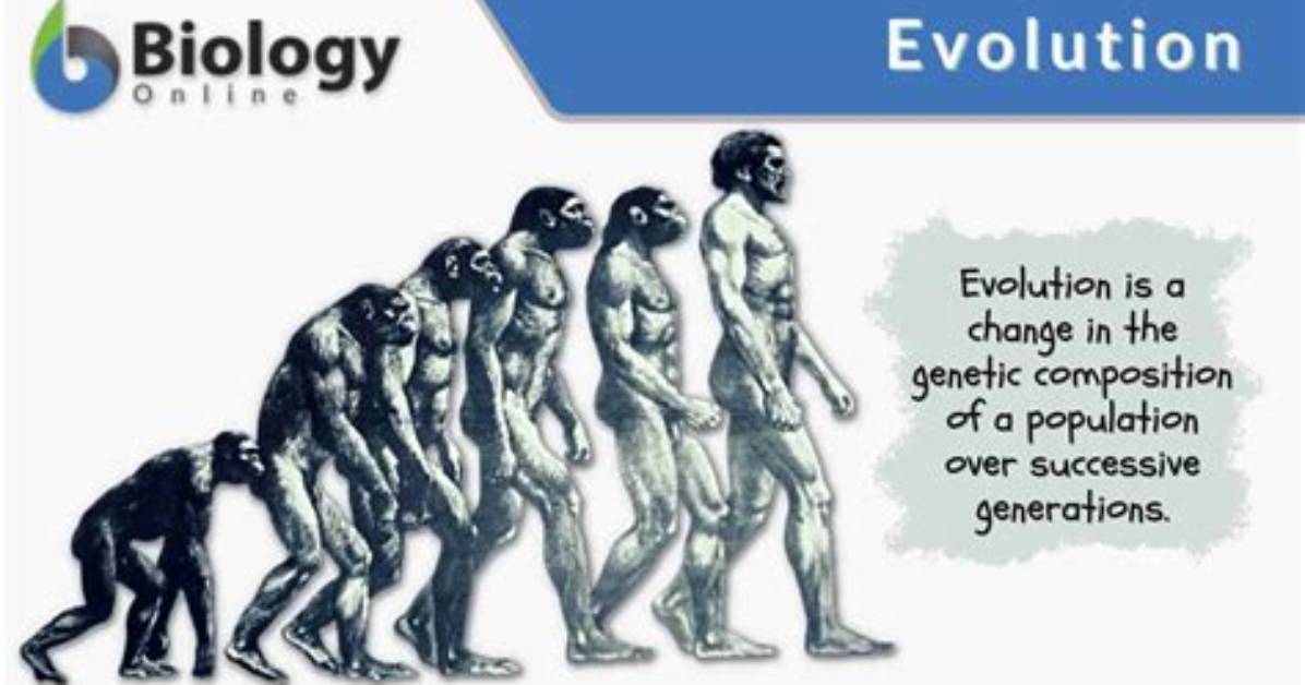 Why Are Genetics and Evolution So Important to Anthropology