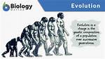 Why Are Genetics and Evolution So Important to Anthropology
