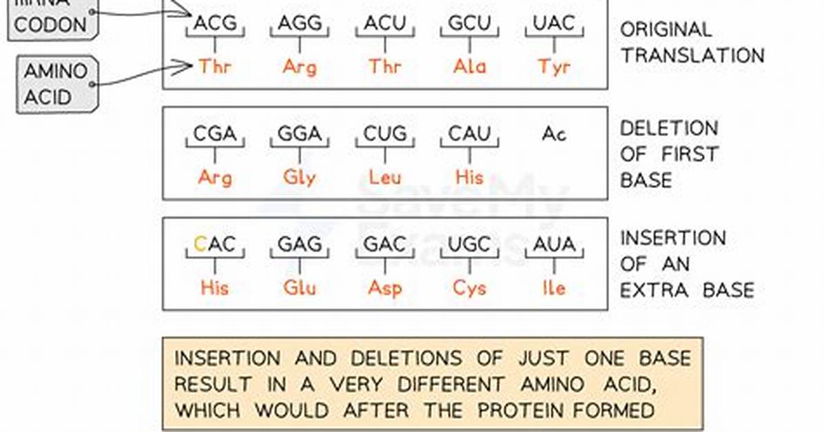 Why Are Insertions and Deletions