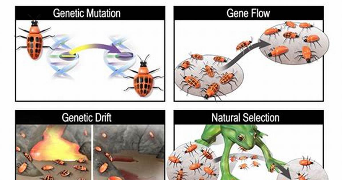 Why Are Mutations Essential for Evolution to Occur