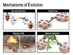 Why Are Mutations Essential for Evolution to Occur