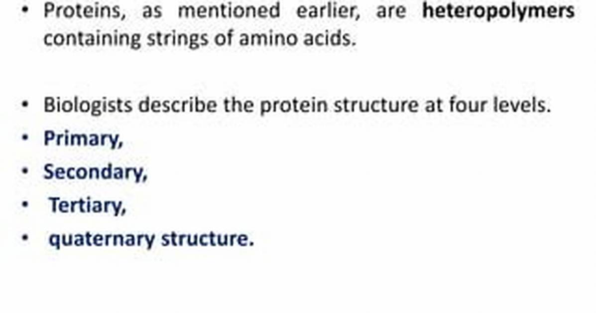 Why Are Proteins Heteropolymers?