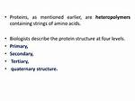 Why Are Proteins Heteropolymers?