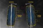 Why Are Rear Wheels Cambered?