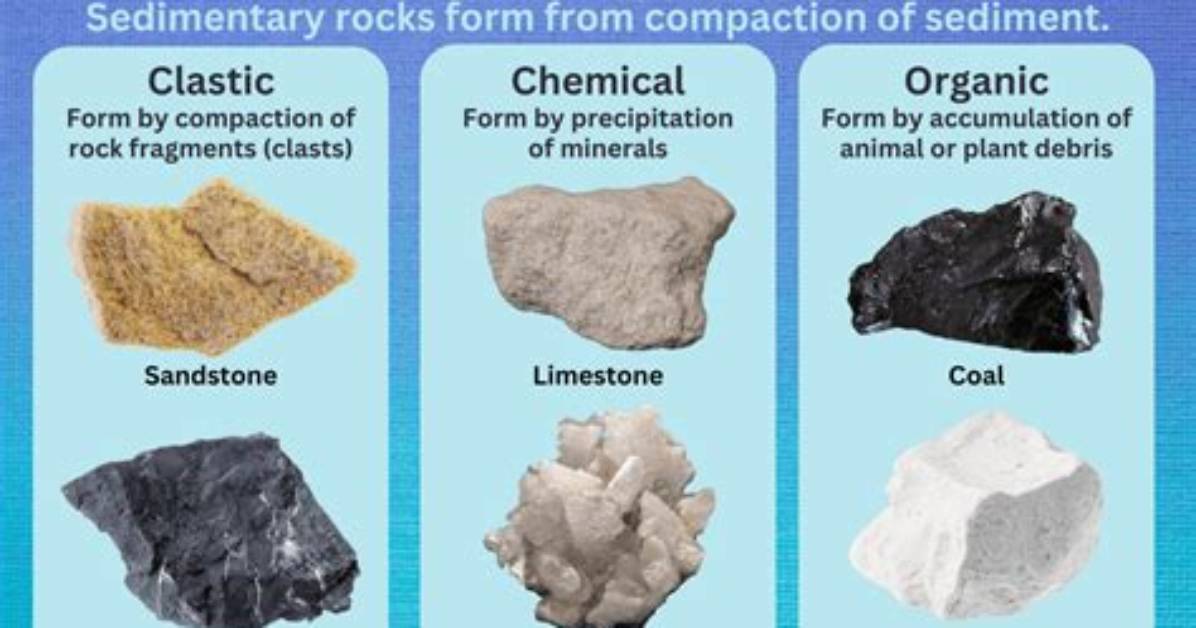 Why Are Source Rocks Always Sedimentary
