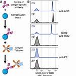 Why Are Tetramers Important?