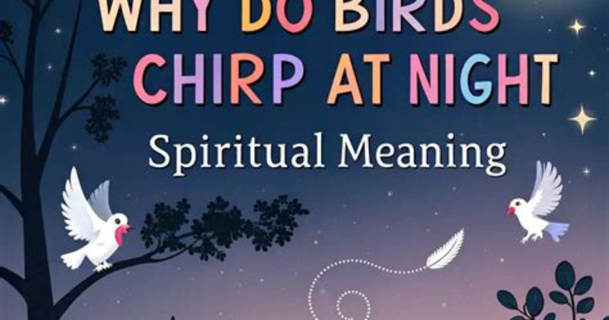 Why Are the Birds Chirping at 3Am?
