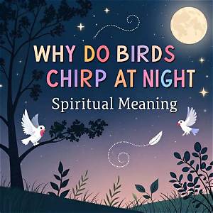 Why Are the Birds Chirping at 3Am?