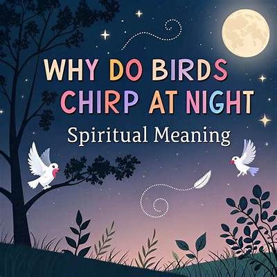 Why Are the Birds Chirping at 3Am?