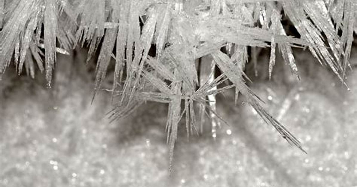 Why Are There Ice Crystals in My Frozen Food?