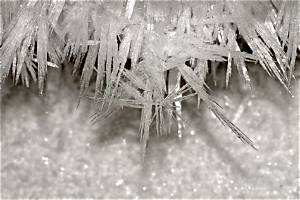 Why Are There Ice Crystals in My Frozen Food?