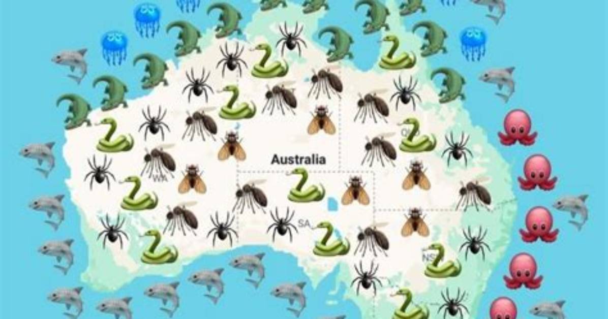 Why Australia Is Dangerous - Lisbd-Net. Com
