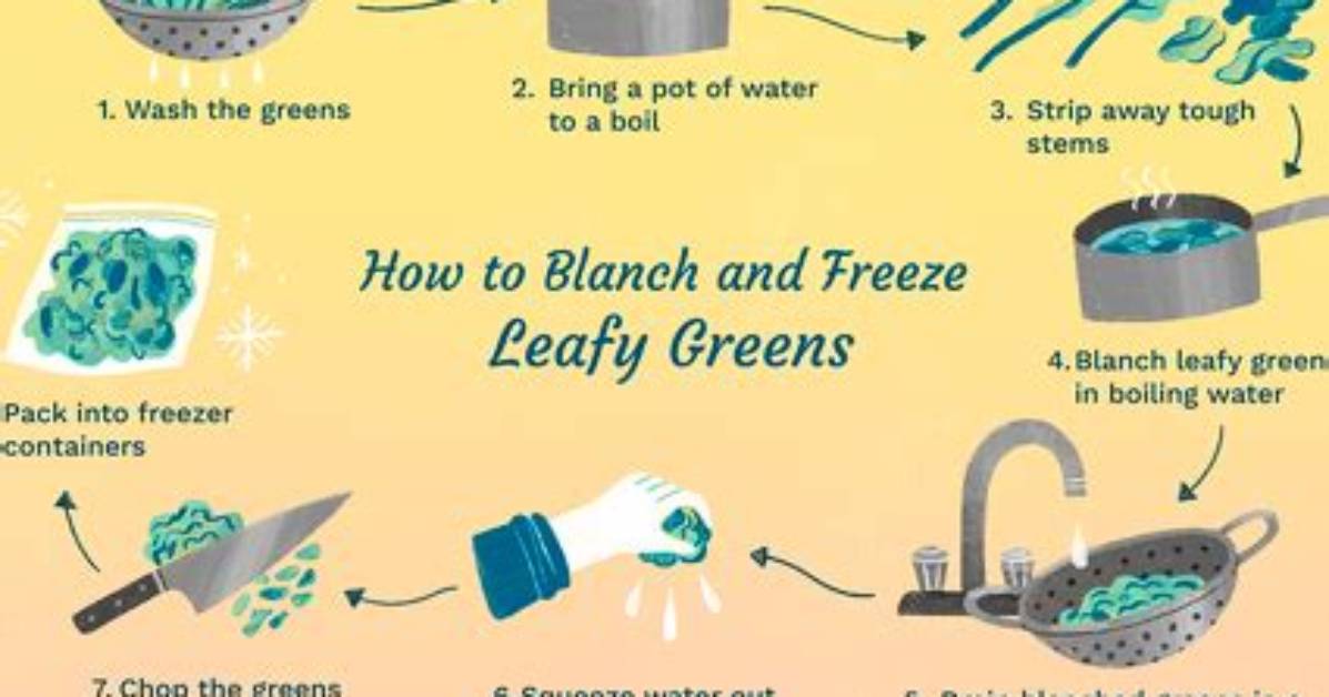 Why Blanching Vegetables Before Freezing?